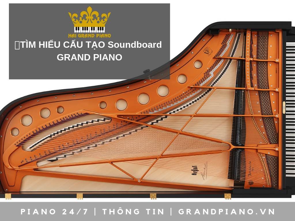 CẤU TẠO soundboard ĐÀN GRAND PIANO ĐƯƠNG ĐẠI 