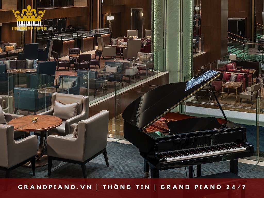 su-dung-bao-quan-grand-piano_002