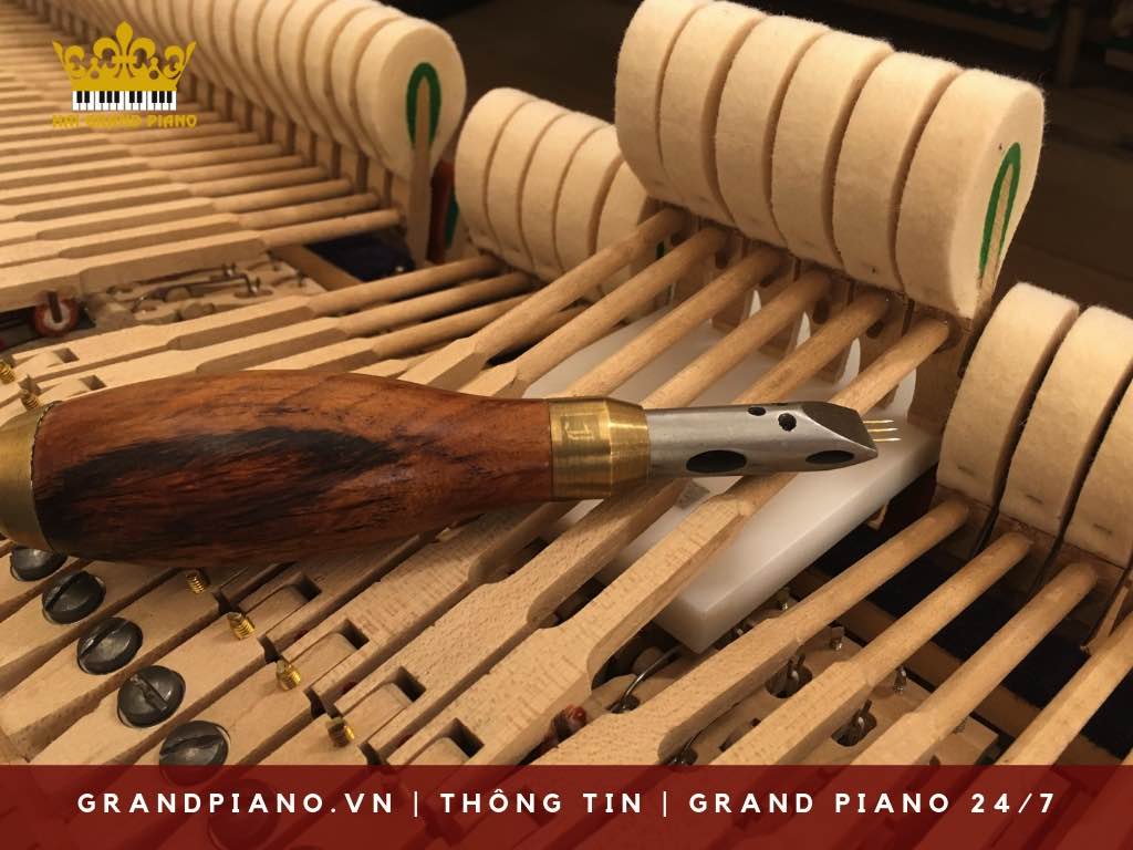 su-dung-bao-quan-grand-piano_007
