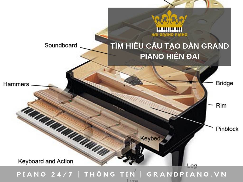 CẤU TẠO ĐÀN GRAND PIANO HIỆN ĐẠI 