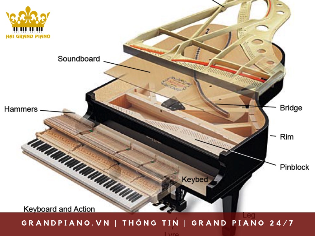 chon-grand-piano-nguoi-choi-chuyen-nghiep_002