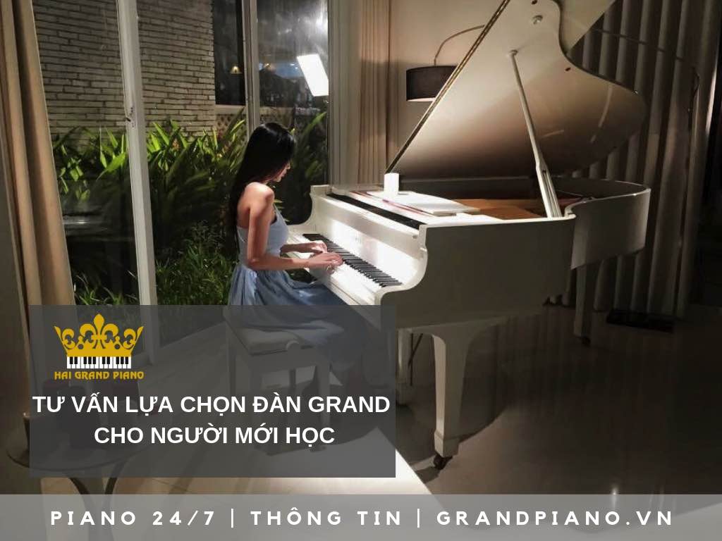 TƯ VẤN CHỌN PIANO GRAND CHO  NGƯỜI MỚI HỌC 