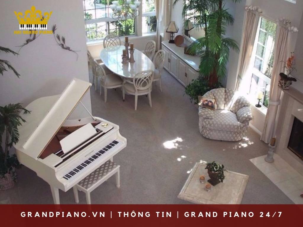 THAM KHẢO KHÔNG GIAN ĐỂ ĐÀN GRAND PIANO CHO BIỆT THƯ 