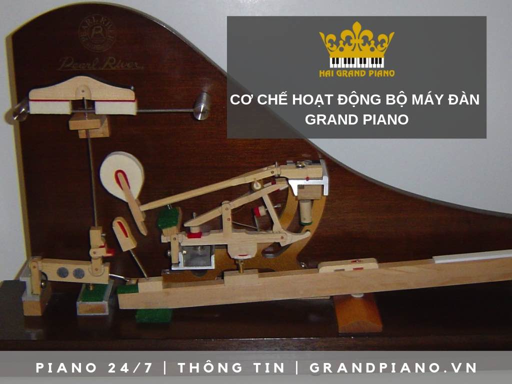 CƠ CHẾ HOẠT ĐỘNG CỦA MÁY ĐÀN GRAND PIANO HIỆN ĐẠI 