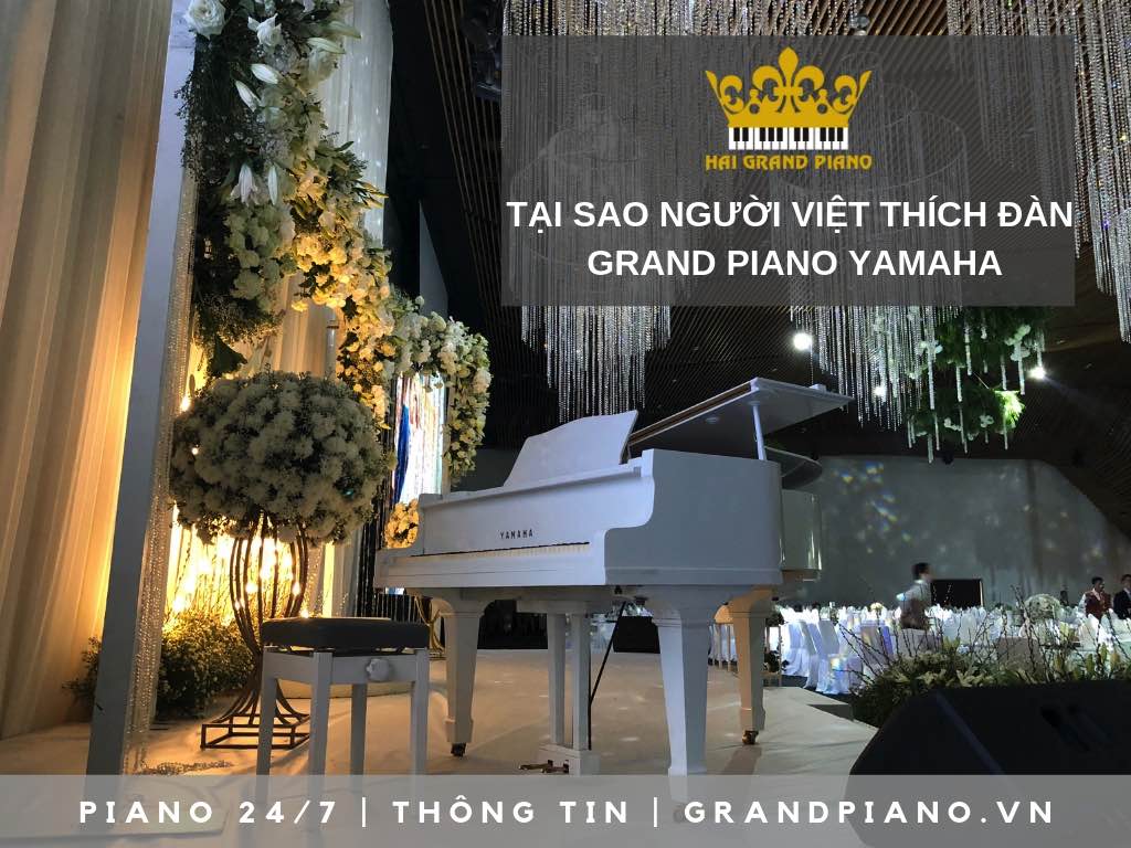 VÌ SAO ĐÀN GRAND PIANO YAMAHA ĐƯỢC NGƯỜI VIỆT YÊU THÍCH 