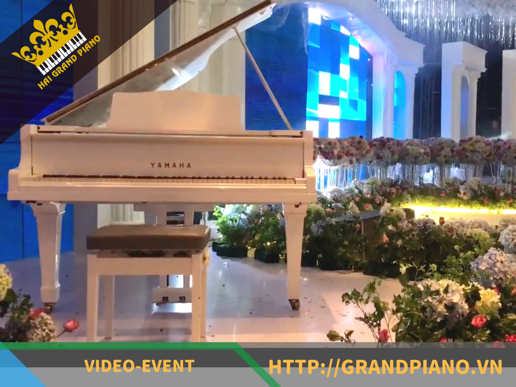 Hải Grand Piano Setup Đàn Grand G2 White Tại GEM