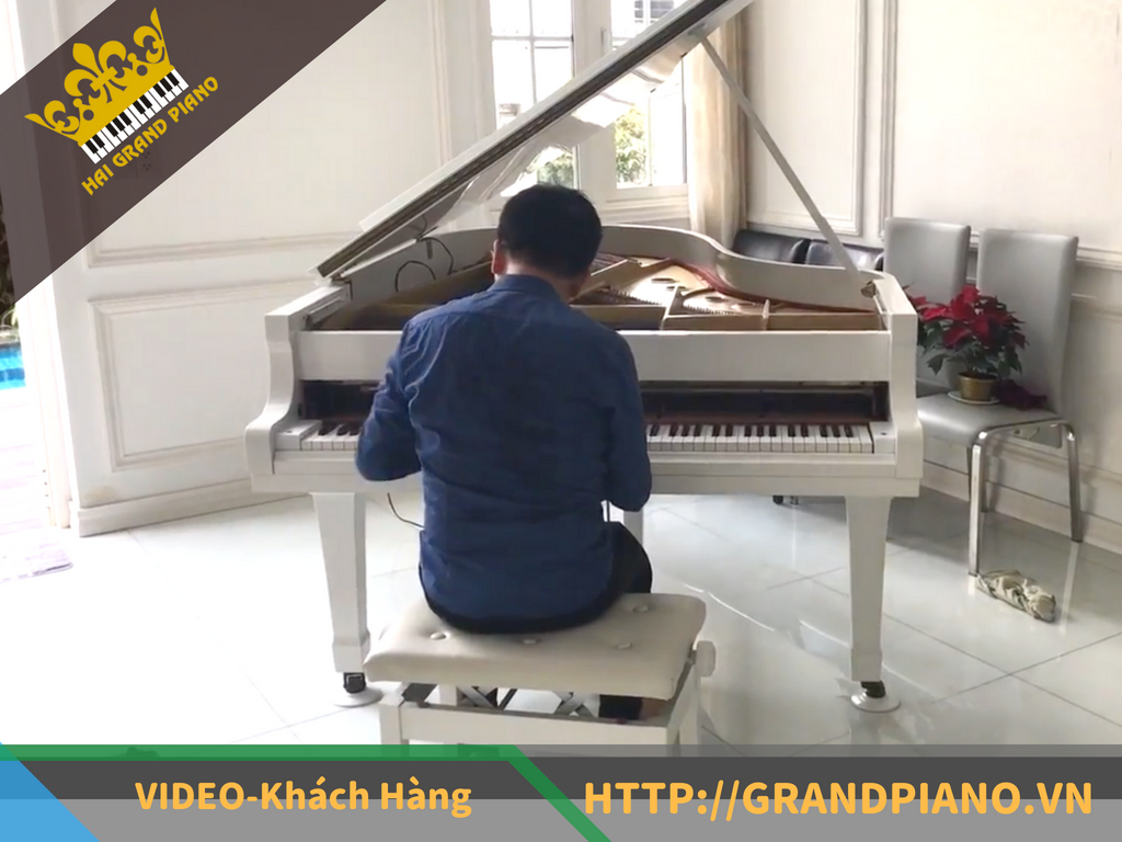 Khách Hàng Thử Âm Thanh  Yamaha Grand C5 White 