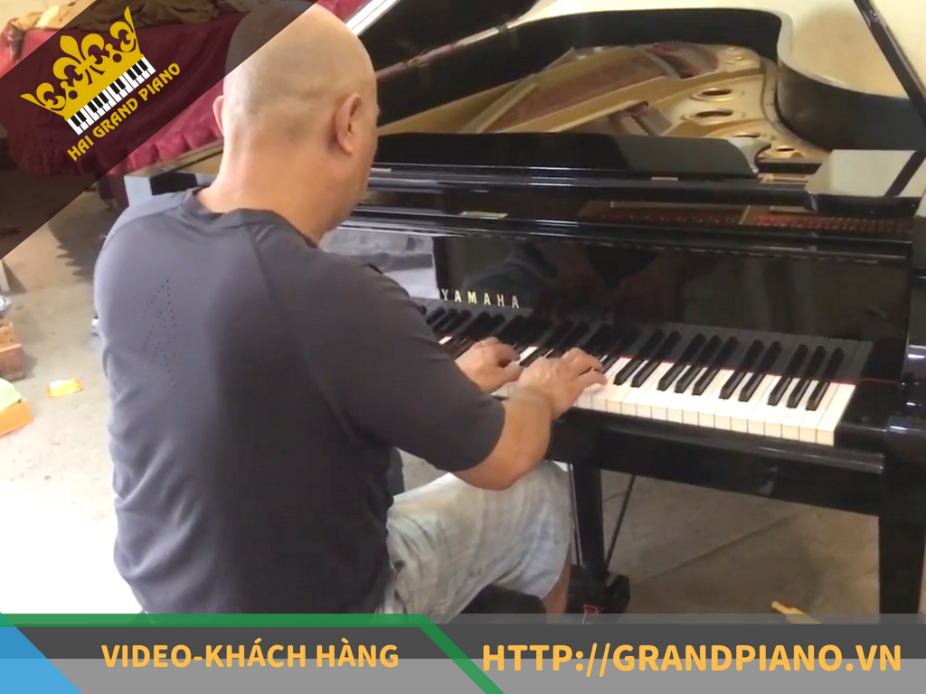 grand-piano-yamaha-c7-minh-xay-dung