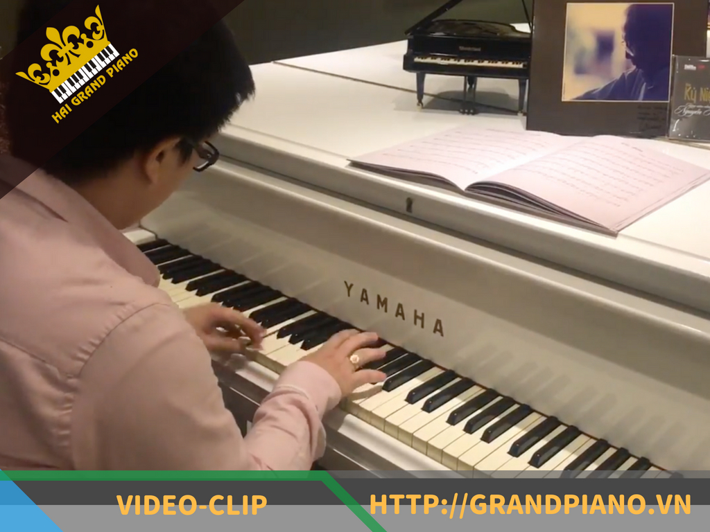  Thử Âm Thanh Grand Piano C3 Tại Phòng Trà Nguyễn Ánh 9