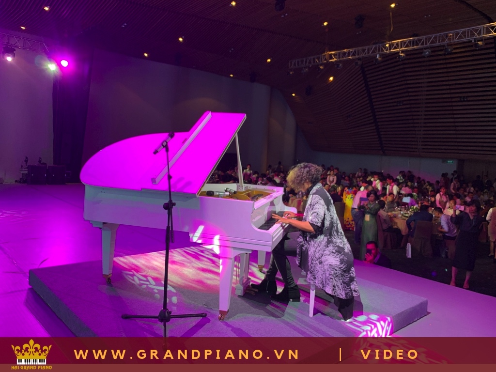 NGHỆ SĨ PIANO NGUYỄN TUẤN MẠNH LIVE PIANO SHOW