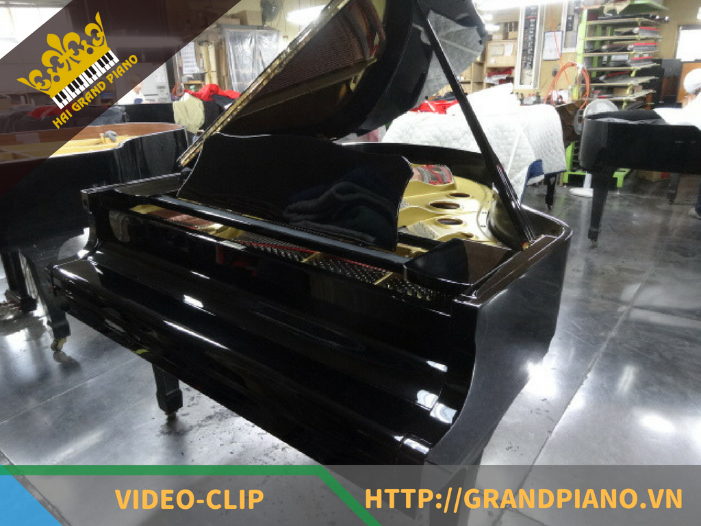 Vận Chuyển Đàn Grand Piano Bằng Phương Pháp Tời 