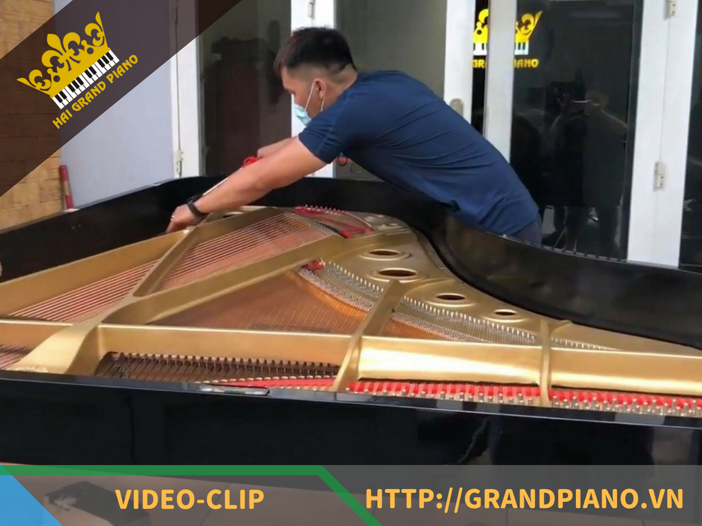 Vệ Sinh Đàn Grand Piano Đơn Giản - Hải Grand Piano