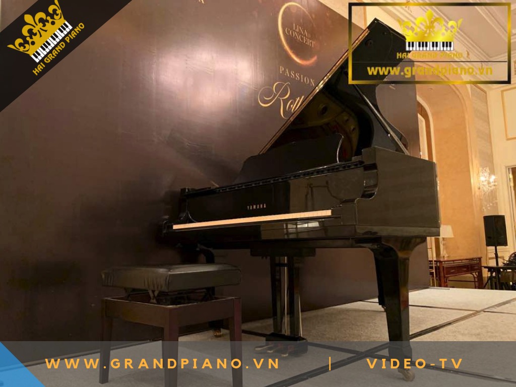 ÂM THANH ĐÀN GRAND PIANO C7 | BÁ TƯỚC ANH 