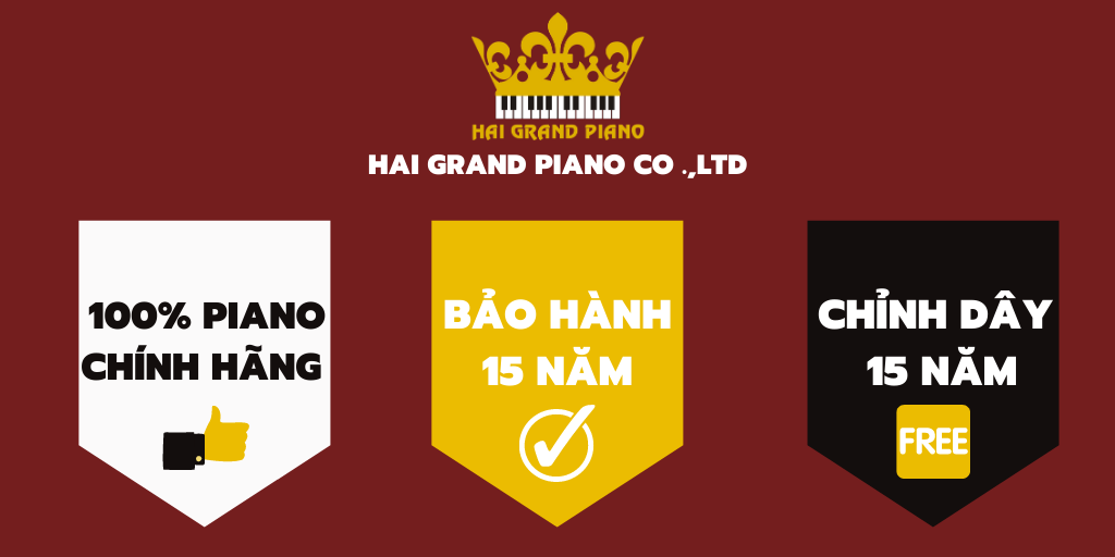 BAO-HANH-PIANO-15-NAM