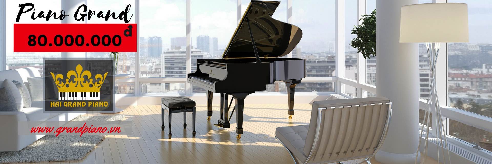 Bán Đàn Grand Piano