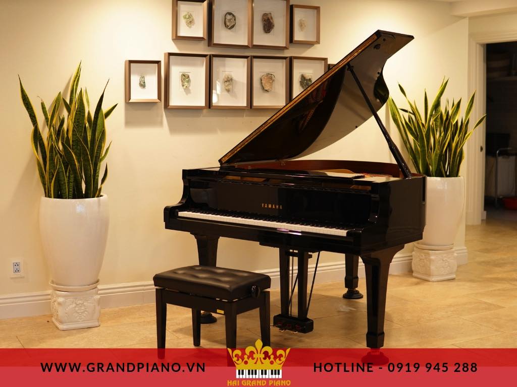 grand-piano-yamaha-g1-quan-7_001