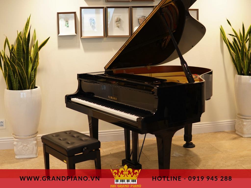 grand-piano-yamaha-g1-quan-7_002